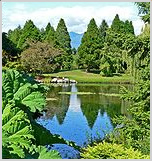 VanDusen Botanical Garden